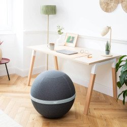 Ballon d'assise bloon original Gris Quartz