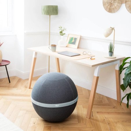 Ballon d'assise bloon original Gris Quartz