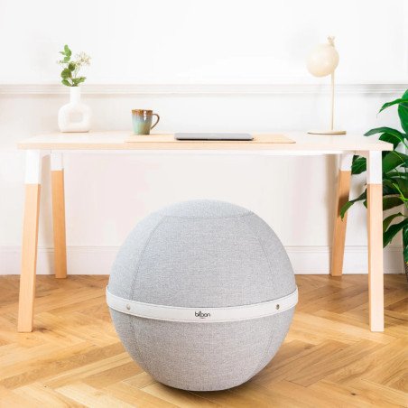 Ballon d'assise bloon original Elephant