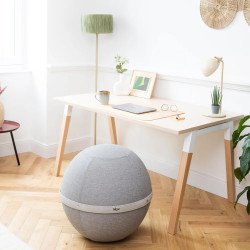 Ballon d'assise bloon original Elephant