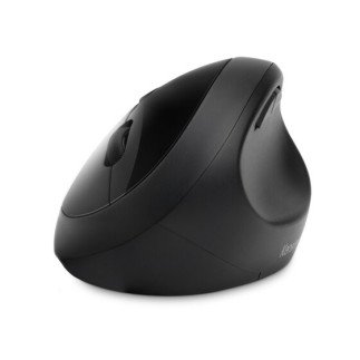 Souris sans fil Pro Fit™ Ergo noir