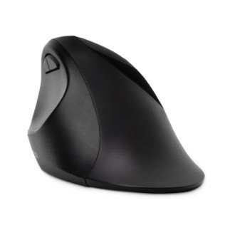 Souris sans fil Pro Fit™ Ergo noir