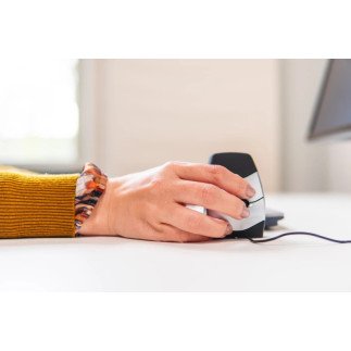 Souris ergonomique DXT Precision